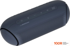 Беспроводная колонка LG XBOOM GO PL5 (ЧЕРНЫЙ) (11655)