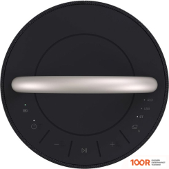 Беспроводная колонка LG RP4 (ЧЕРНЫЙ) (11646)