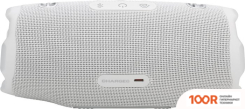 Беспроводная колонка JBL CHARGE 6 (БЕЛЫЙ) (11371)