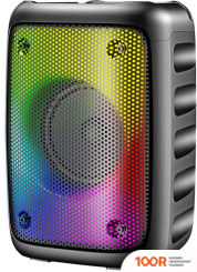 Беспроводная колонка Hyundai H-PS1006 (11334)