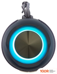 Беспроводная колонка Hyundai H-PAC610 (11330)