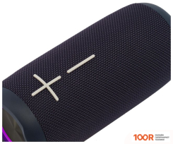 Беспроводная колонка Hyundai H-PAC610 (11330)