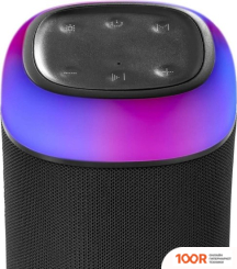 Беспроводная колонка Hama SHINE 2.0 (ЧЕРНЫЙ) (10962)