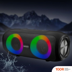 Беспроводная колонка Ginzzu GM-918B (10918)