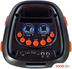 Беспроводная колонка Ginzzu GM-234 (10896)