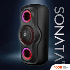 Беспроводная колонка Ginzzu GM-233 (10895)