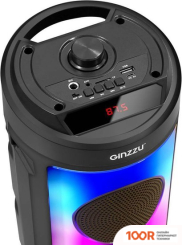 Беспроводная колонка Ginzzu GM-231 (10894)