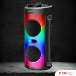 Беспроводная колонка Ginzzu GM-231 (10894)