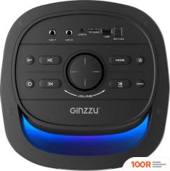 Беспроводная колонка Ginzzu GM-226 (10890)