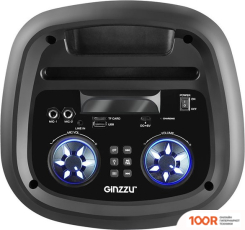 Беспроводная колонка Ginzzu GM-224 (10889)