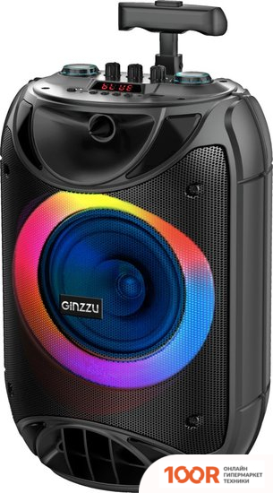 Беспроводная колонка Ginzzu GM-223 (10888)