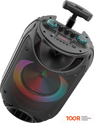 Беспроводная колонка Ginzzu GM-223 (10888)