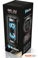 Беспроводная колонка Ginzzu GM-210 (10875)