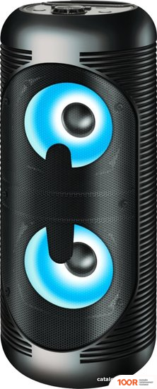 Беспроводная колонка Ginzzu GM-210 (10875)