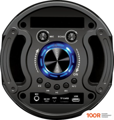 Беспроводная колонка Ginzzu GM-209 (10874)