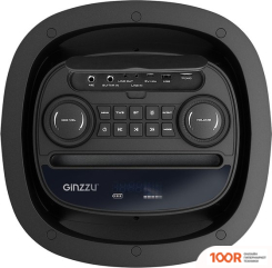 Беспроводная колонка Ginzzu GM-206 (10873)