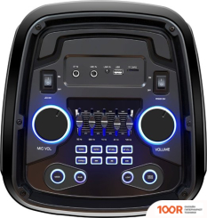 Беспроводная колонка Ginzzu GM-202 (10869)