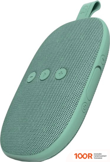 Беспроводная колонка Fresh'n Rebel ROCKBOX BOLD X (MISTY MINT) (10831)