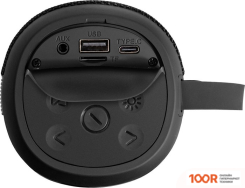 Беспроводная колонка ExeGate BRO 310 (10817)