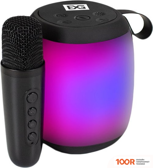 Беспроводная колонка ExeGate BRO 310 (10817)