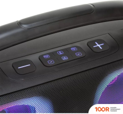 Беспроводная колонка Eltronic 30-28 FIRE BOX 500 (10784)