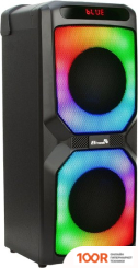 Беспроводная колонка Eltronic 20-54 WAVE 300 (10770)