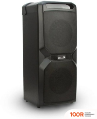 Беспроводная колонка Eltronic 20-54 WAVE 300 (10770)