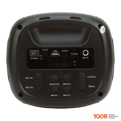 Беспроводная колонка Eltronic 20-44 DANCE BOX 100 (10760)