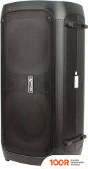 Беспроводная колонка Eltronic 20-34 DANCE BOX 300 (10752)