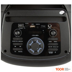 Беспроводная колонка Eltronic 20-30 CRAZY BOX 100 NEW (10749)