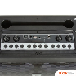 Беспроводная колонка Eltronic 20-04 DANCE BOX 200 (10731)