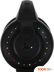 Беспроводная колонка Digma S-17 (10676)