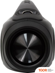 Беспроводная колонка Digma D-PS1531 (10670)