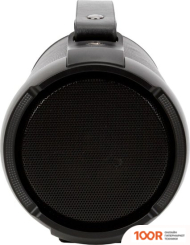 Беспроводная колонка Digma D-PS1520 (ЧЕРНЫЙ) (10667)