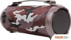 Беспроводная колонка Digma D-PS1520 (КАМУФЛЯЖ) (10666)