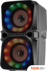 Беспроводная колонка Digma D-PS1505 (10664)