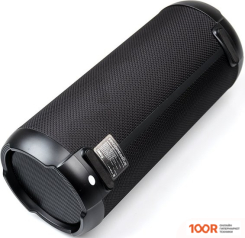 Беспроводная колонка Dialog AP-950 (10660)