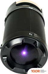 Беспроводная колонка Dialog AP-1030 (10652)