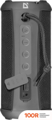 Беспроводная колонка Defender G42 (10580)