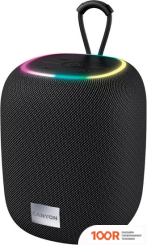 Беспроводная колонка Canyon BSP-8 (ЧЕРНЫЙ) (10507)