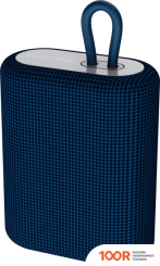 Беспроводная колонка Canyon BSP-4 (ТЕМНО-СИНИЙ) (10503)