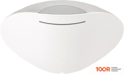Беспроводная колонка Bowers & Wilkins FORMATION WEDGE (СЕРЕБРИСТЫЙ) (10453)
