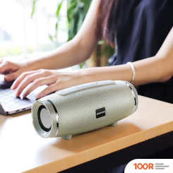 Беспроводная колонка Borofone BR3 (СЕРЫЙ) (10349)