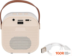 Беспроводная колонка Blow KARAOKE RGB 2 (10204)