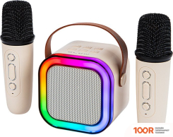Беспроводная колонка Blow KARAOKE RGB 2 (10204)