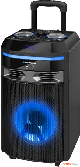 Беспроводная колонка Blaupunkt PS6 (10197)