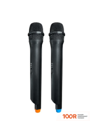 Беспроводная колонка Blaupunkt PB10DB (10191)