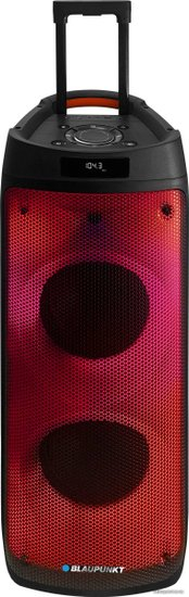 Беспроводная колонка Blaupunkt PB08DB (10190)