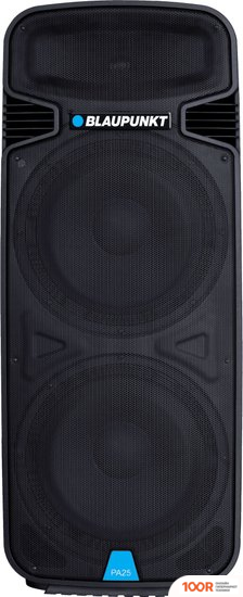 Беспроводная колонка Blaupunkt PA25 (10187)