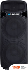 Беспроводная колонка Blaupunkt PA25 (10187)